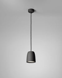 Nut Pendant Light