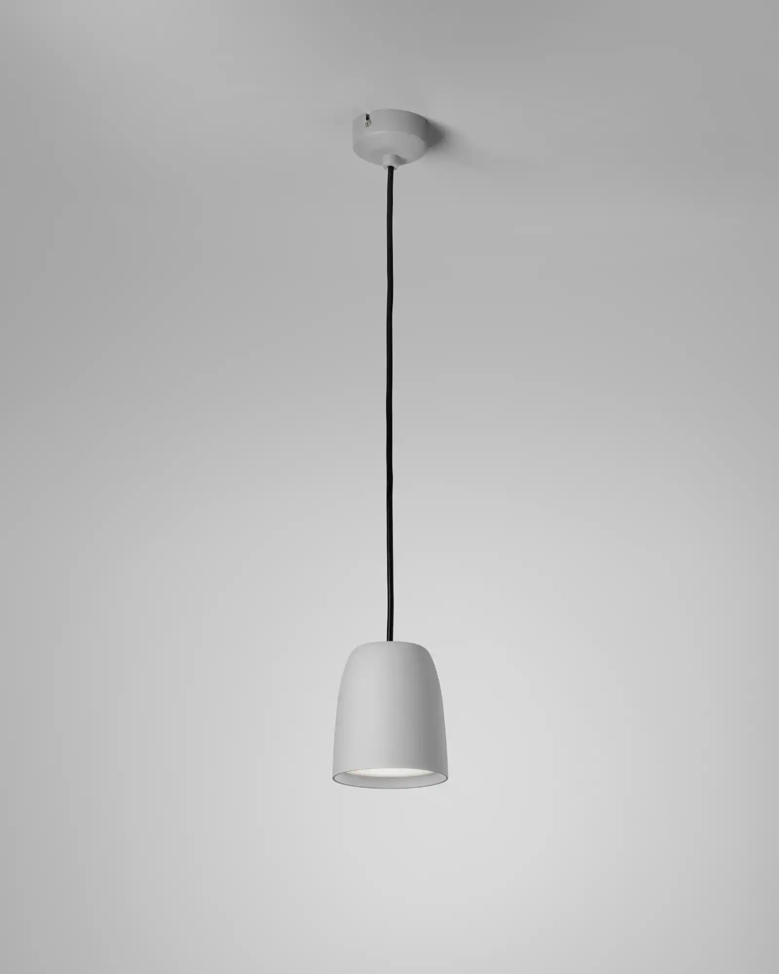 Nut Pendant Light