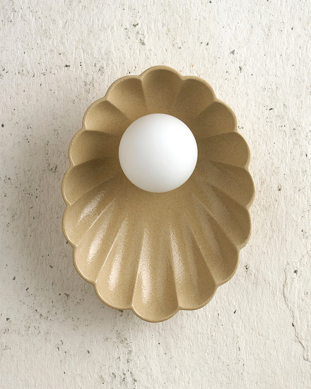 Oyster Wall Light
