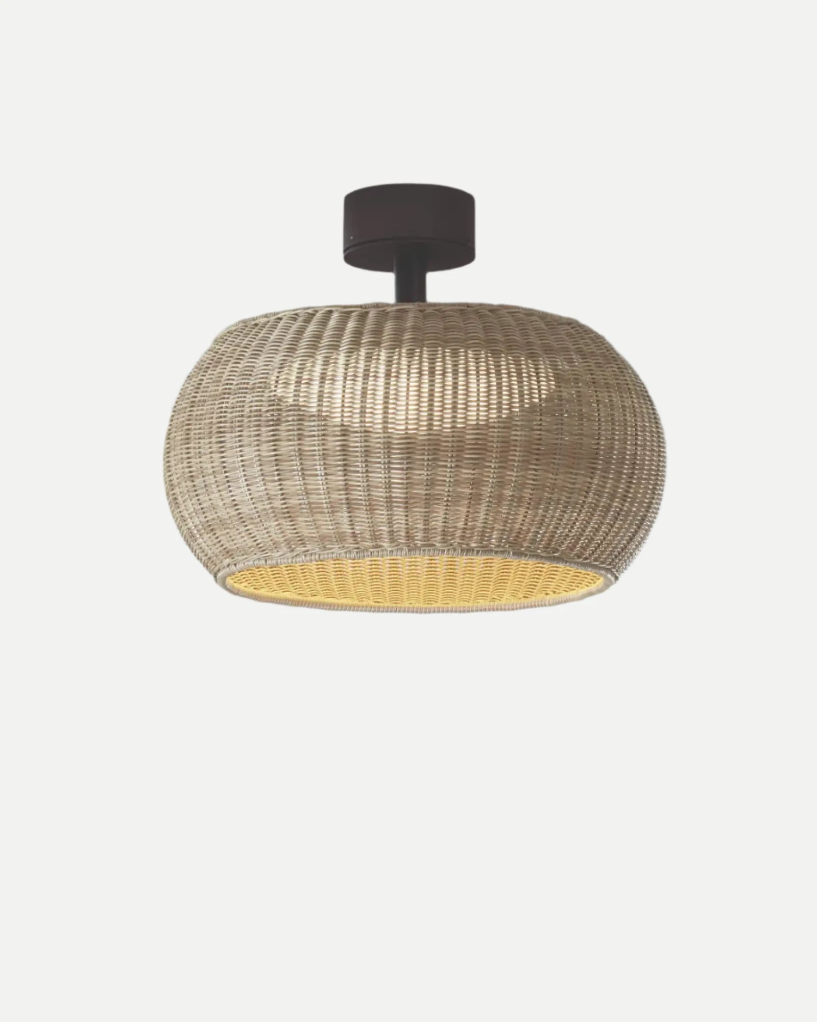 Perris Outdoor Ceiling Light