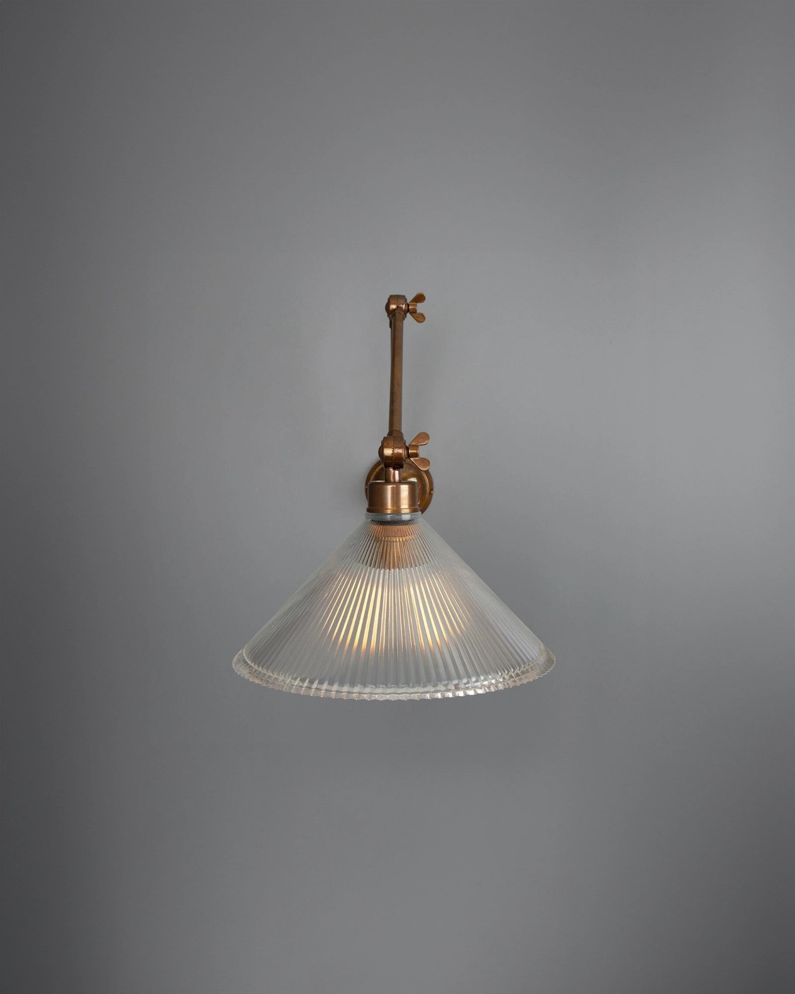 Rebell Adjustable Arm Wall Light