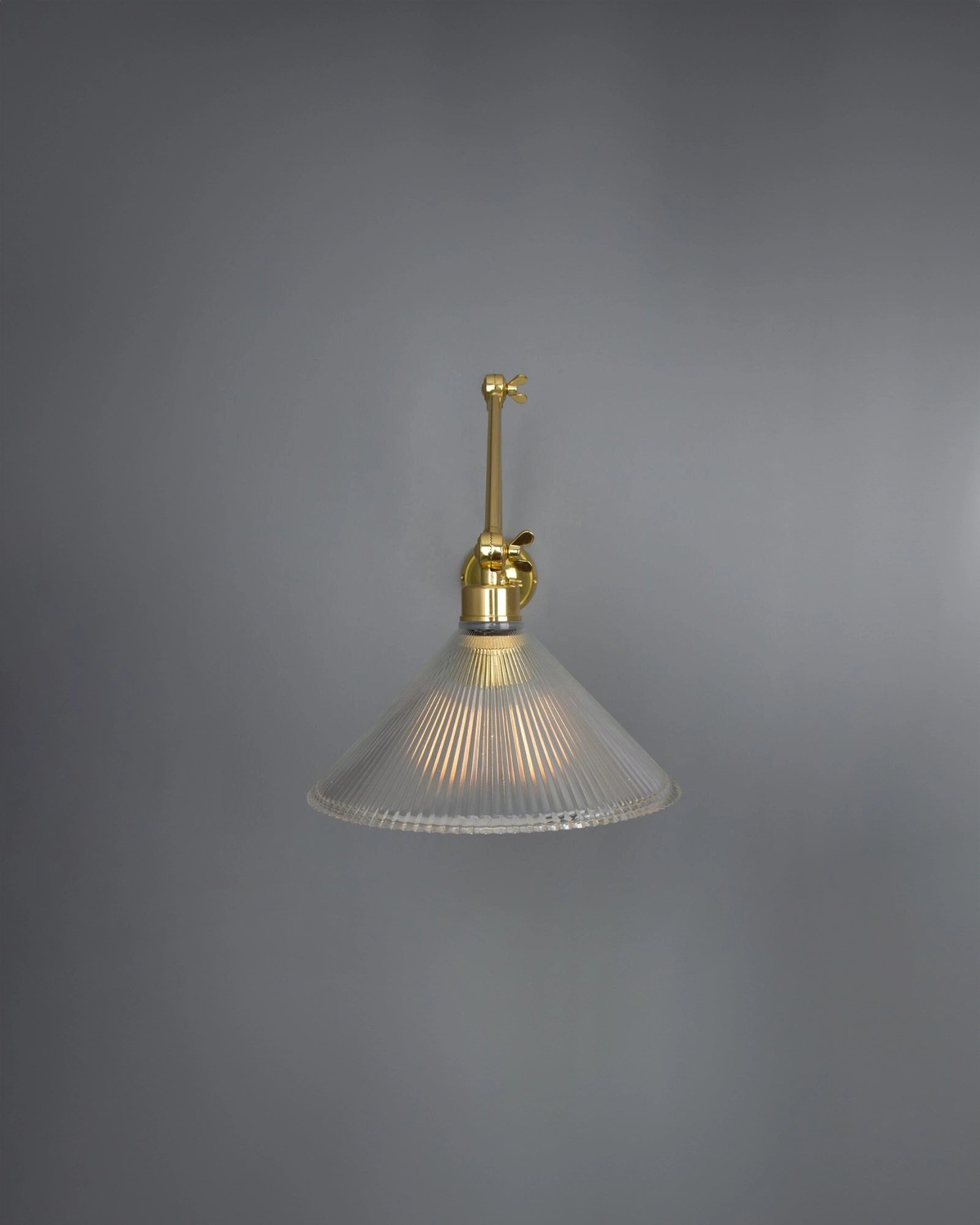 Rebell Adjustable Arm Wall Light