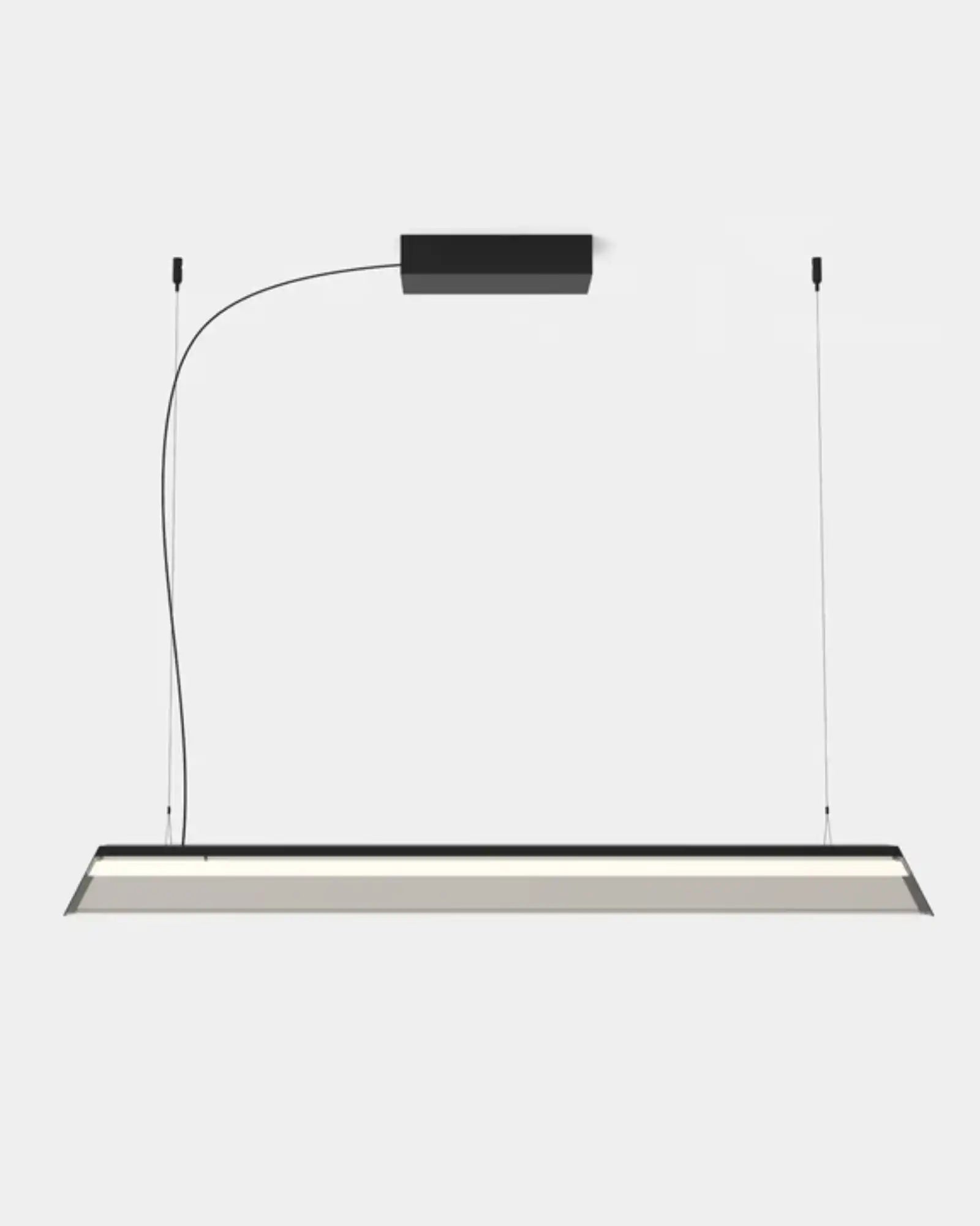 Regula Pendant Light