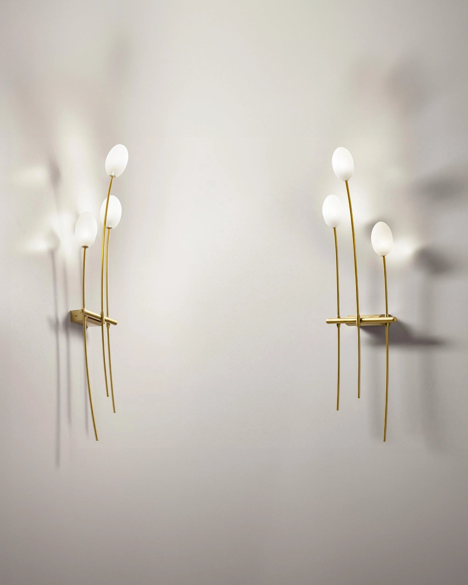 Roris Wall Light