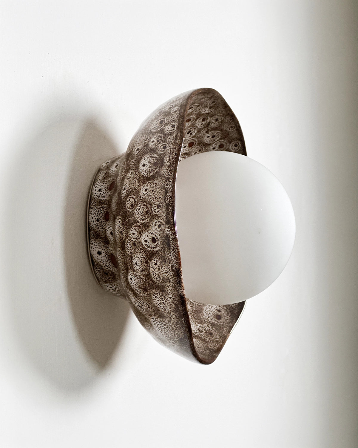 Shell Wall Light
