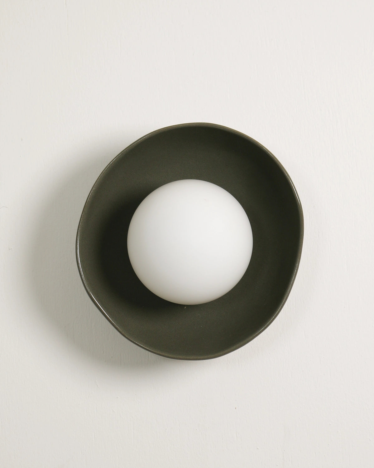 Shell Wall Light