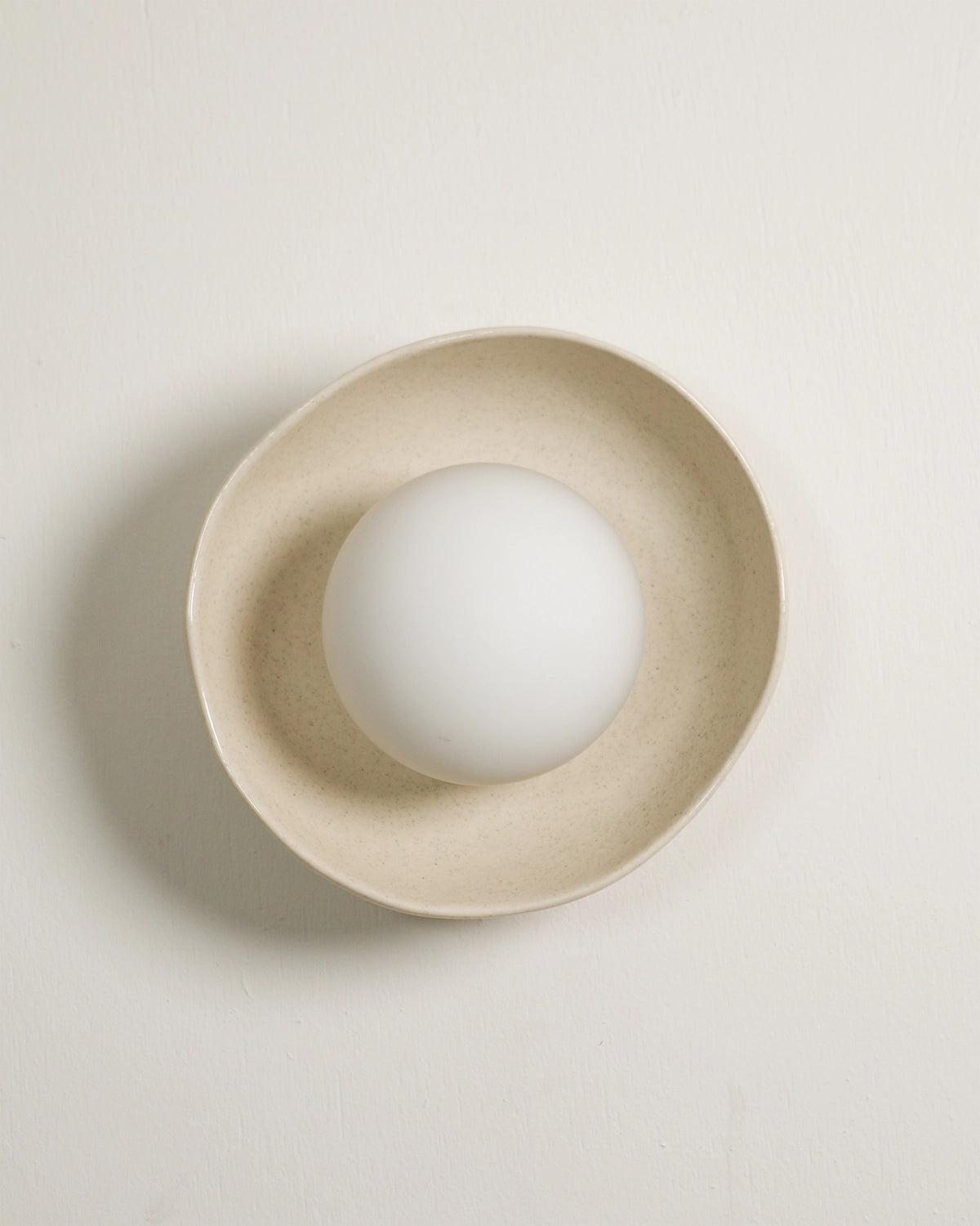 Shell Wall Light