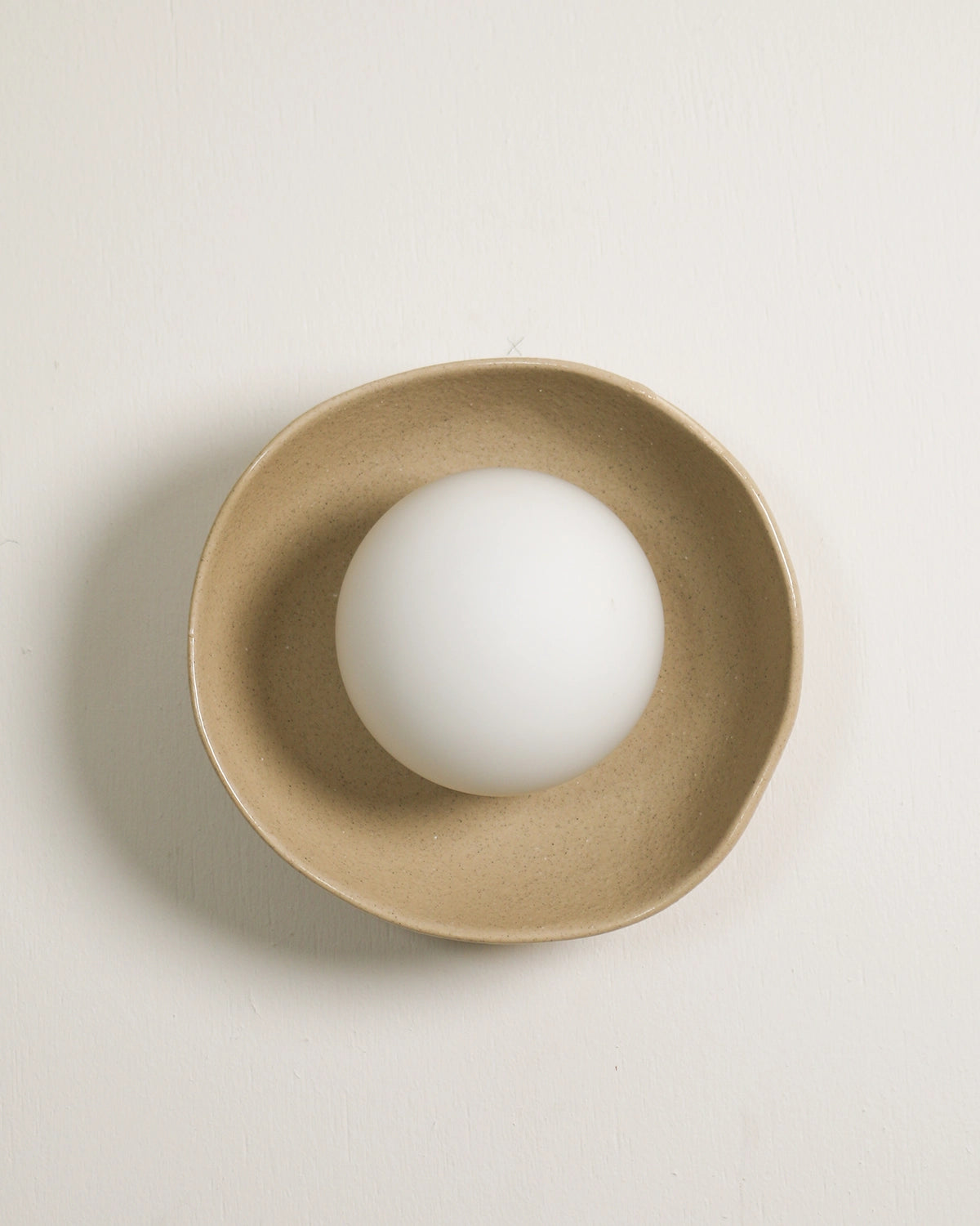 Shell Wall Light
