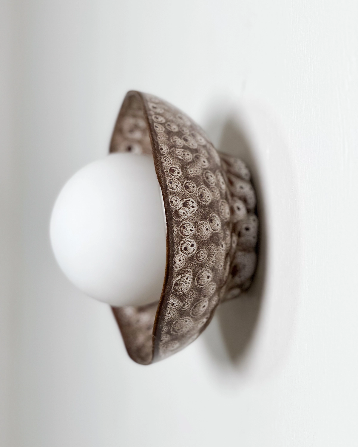 Shell Wall Light