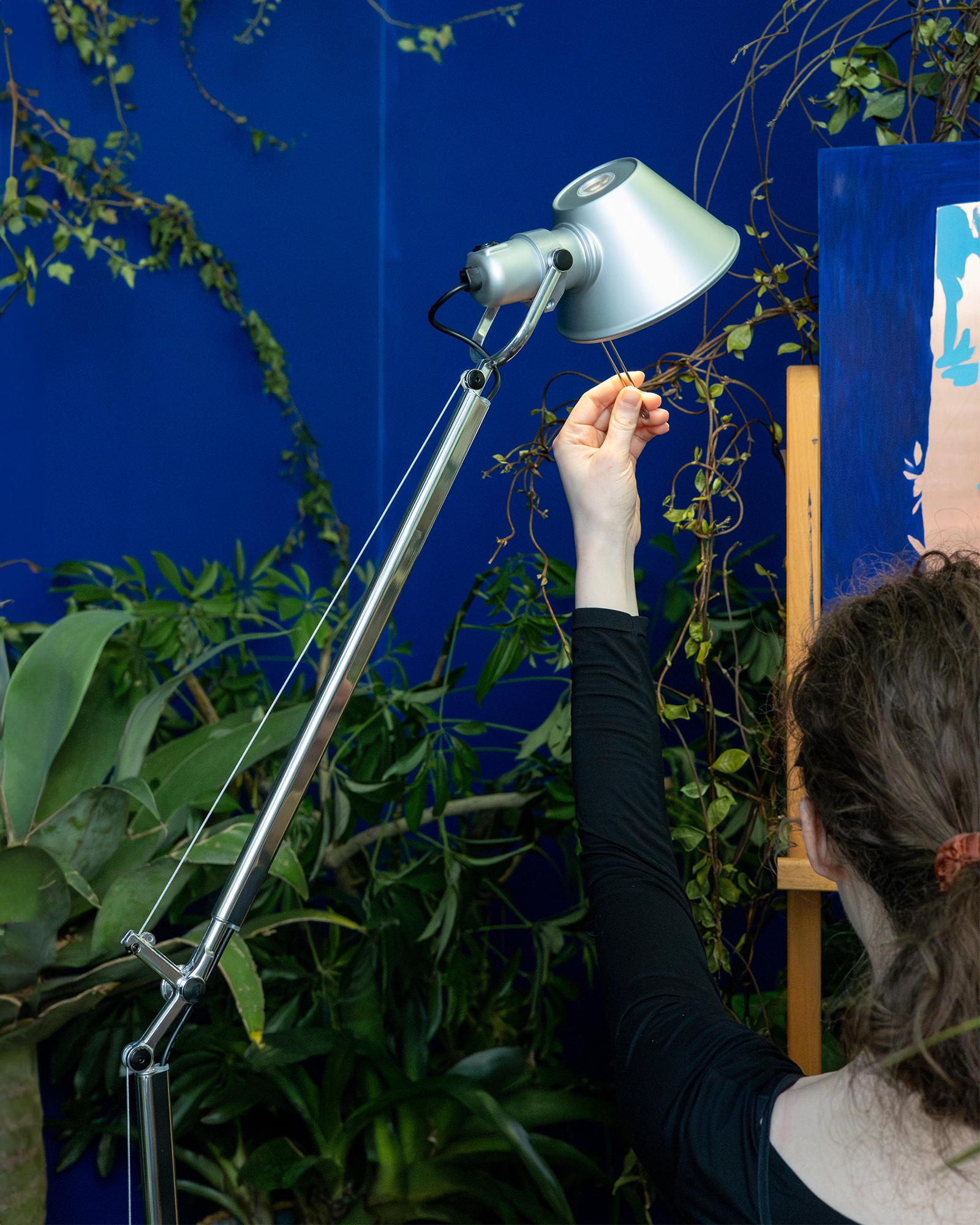 Tolomeo Table Lamp