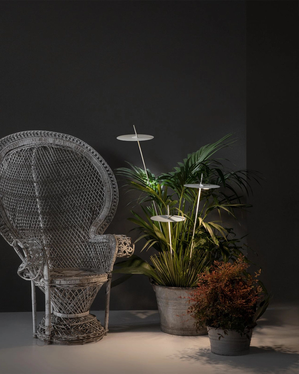 Xana Spike Light