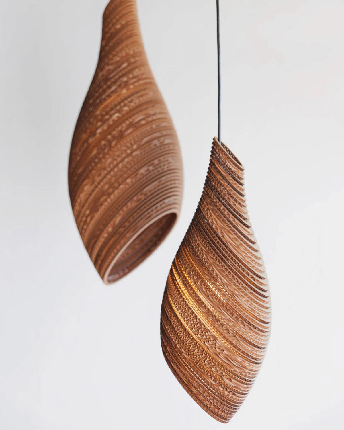 Nest Pendant Light by Gray Pants at Nook Collections 
