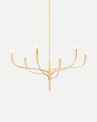 Labra Chandelier