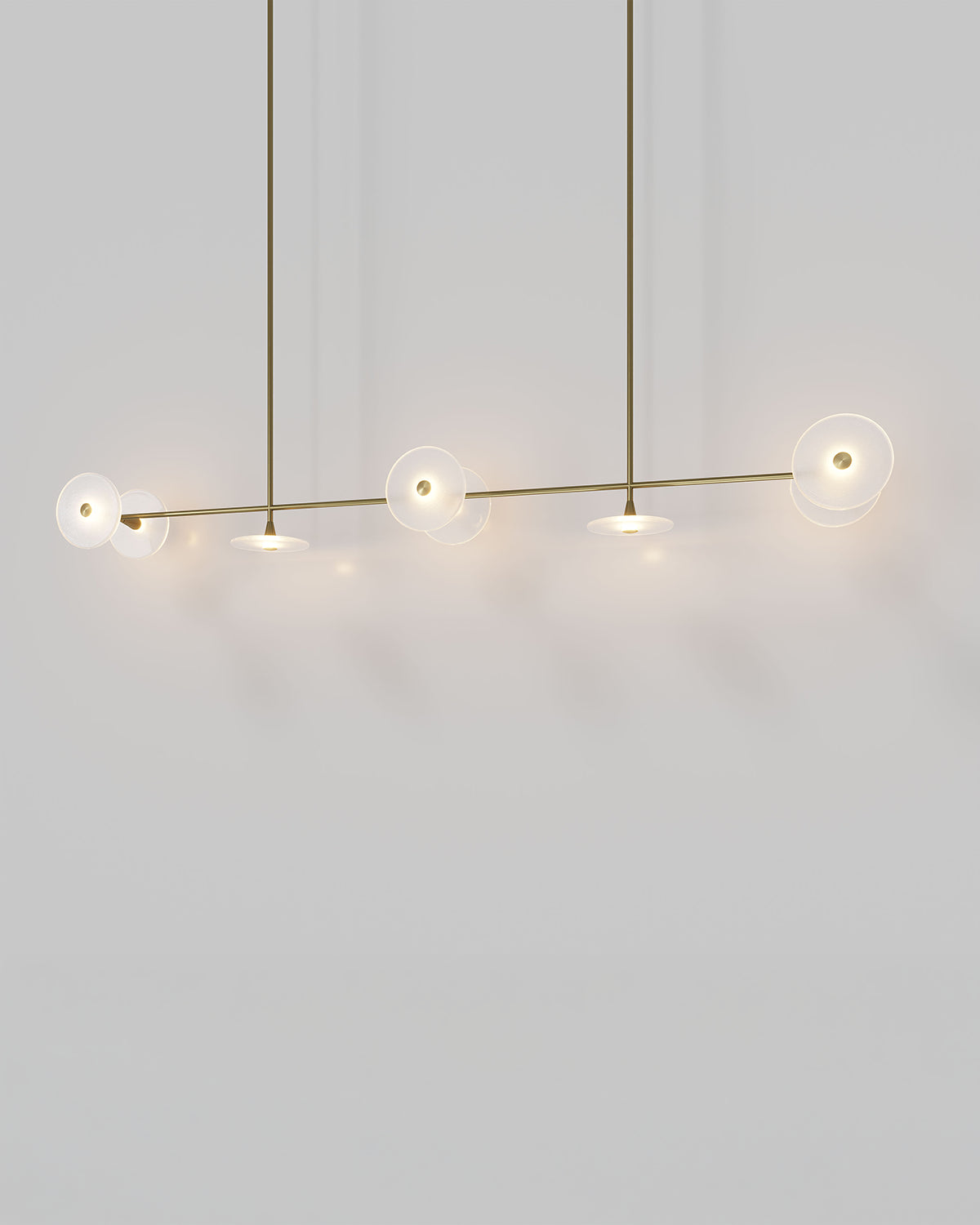Coral Linear 8lt Pendant Light