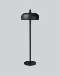 Acorn Floor Lamp