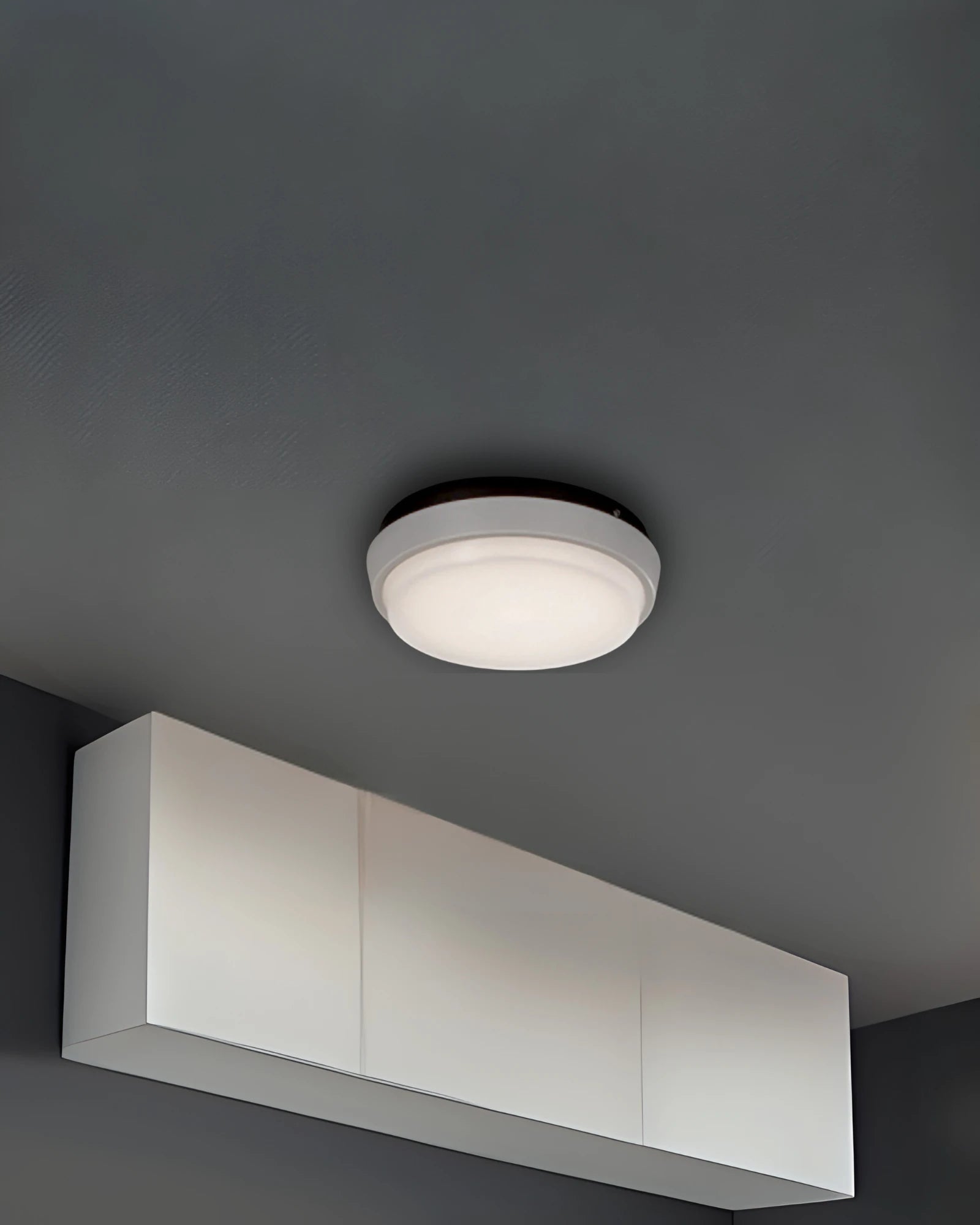 Alu Wall/Ceiling Light