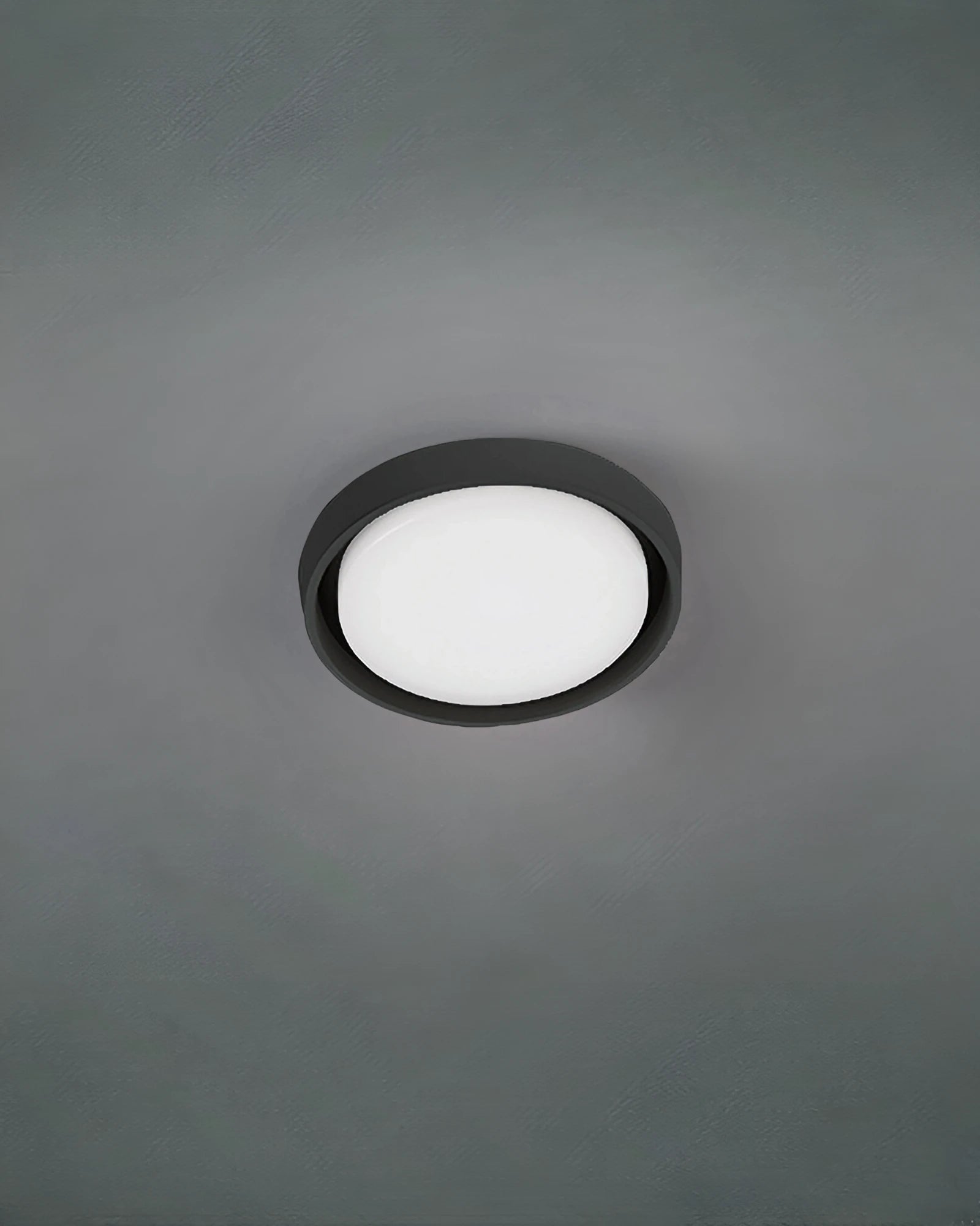 Alu Wall/Ceiling Light