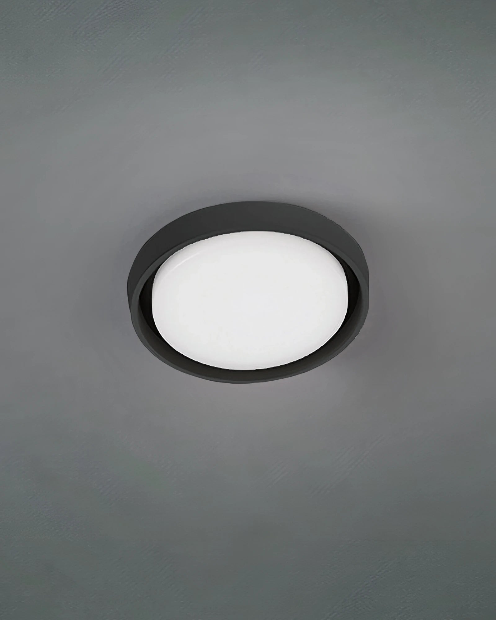 Alu Wall/Ceiling Light
