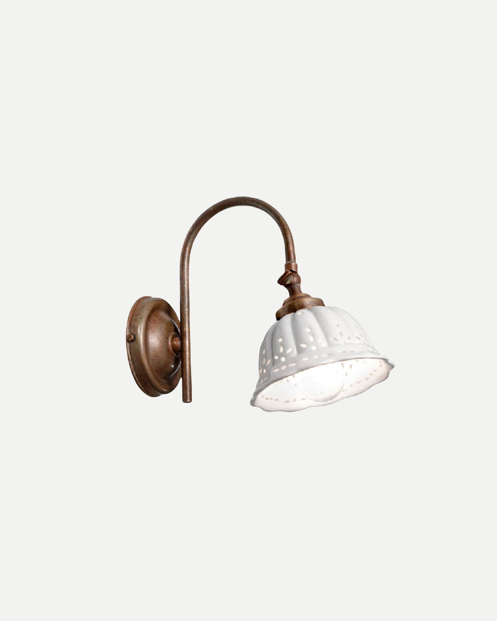 Anita Gooseneck Wall Light