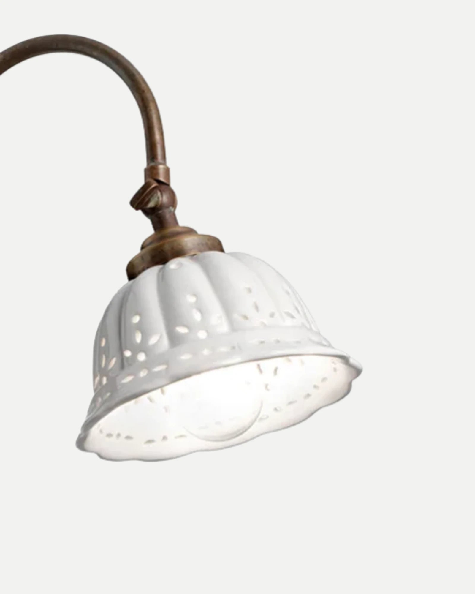 Anita Gooseneck Wall Light
