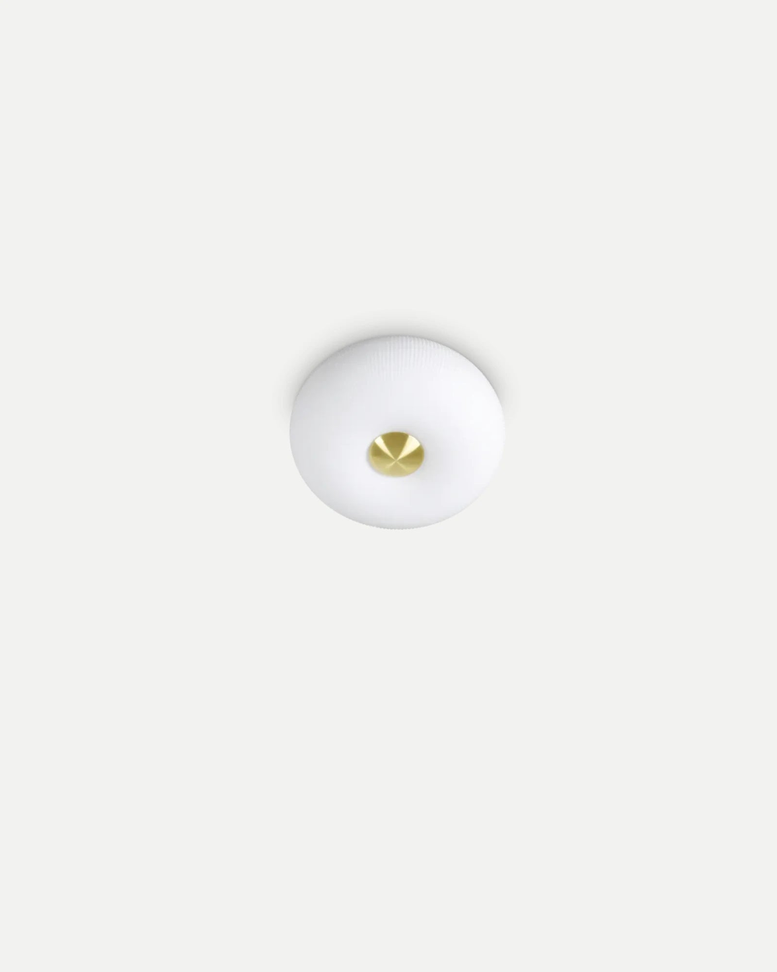 Arizona Ceiling Light