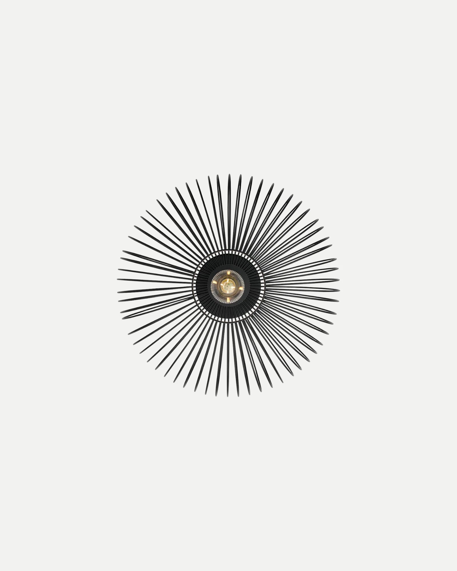 Beroni Wall/Ceiling Light