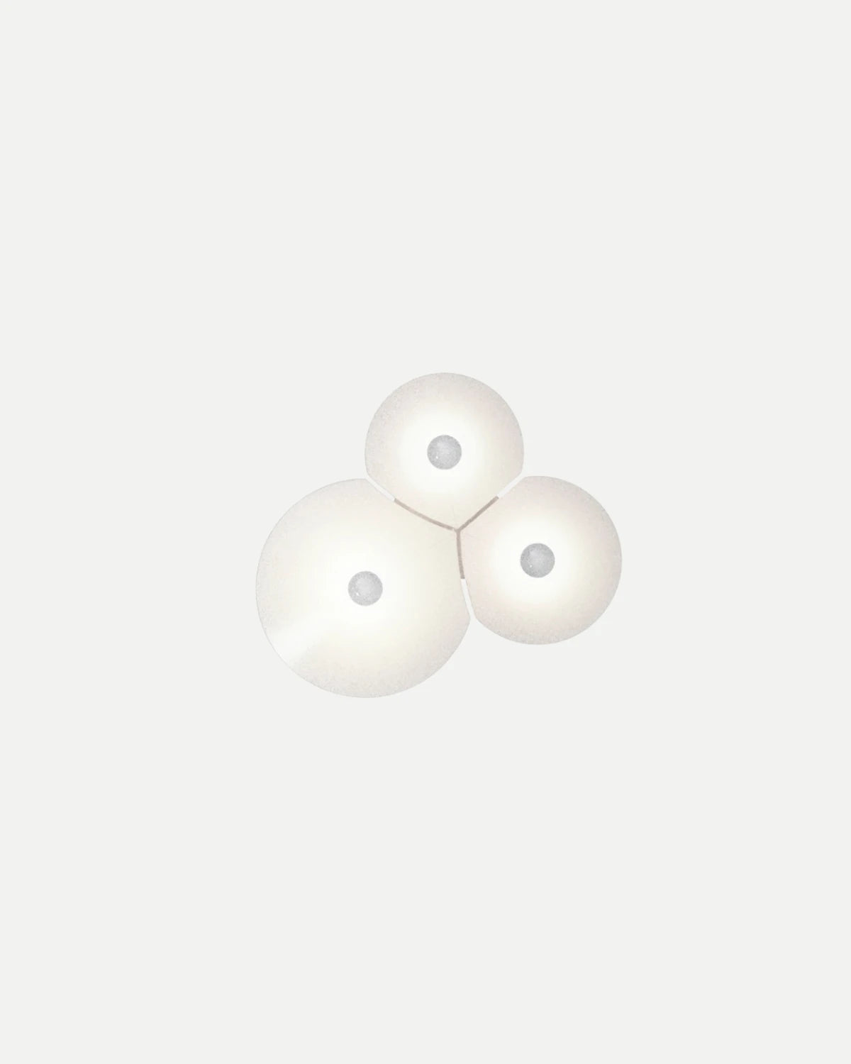 Bulbullia Wall/Ceiling Light