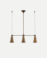 Clematide Pendant Light