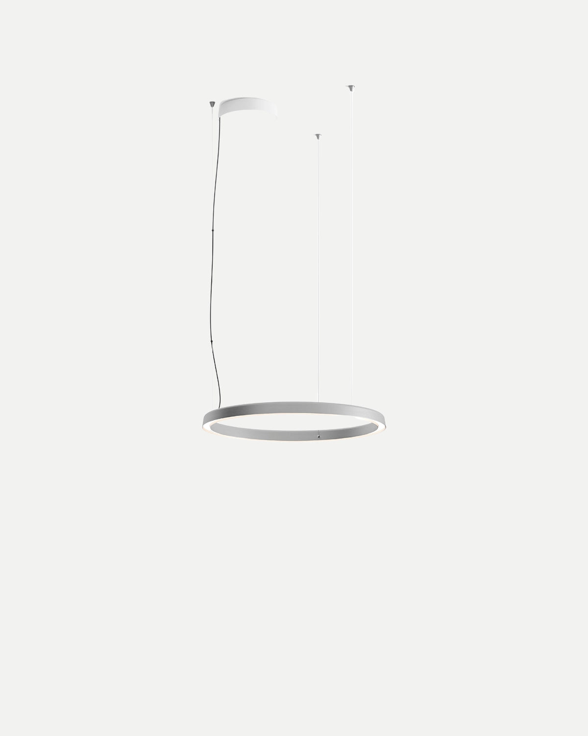 Compendium Circle Pendant Light