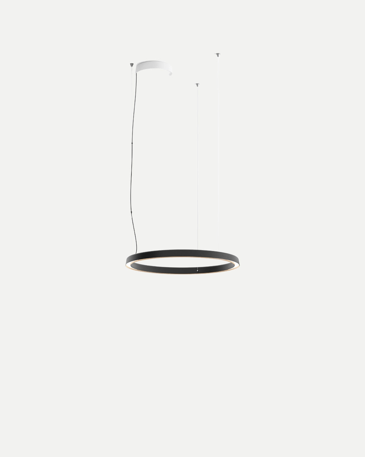 Compendium Circle Pendant Light