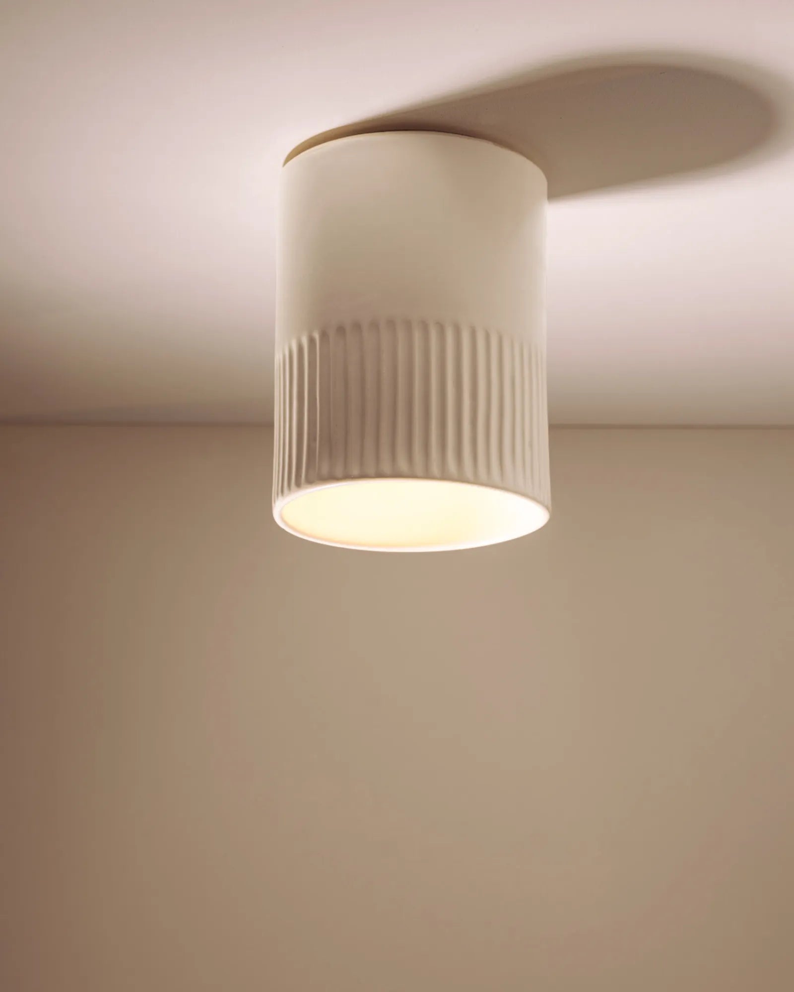 Day Ceiling Light