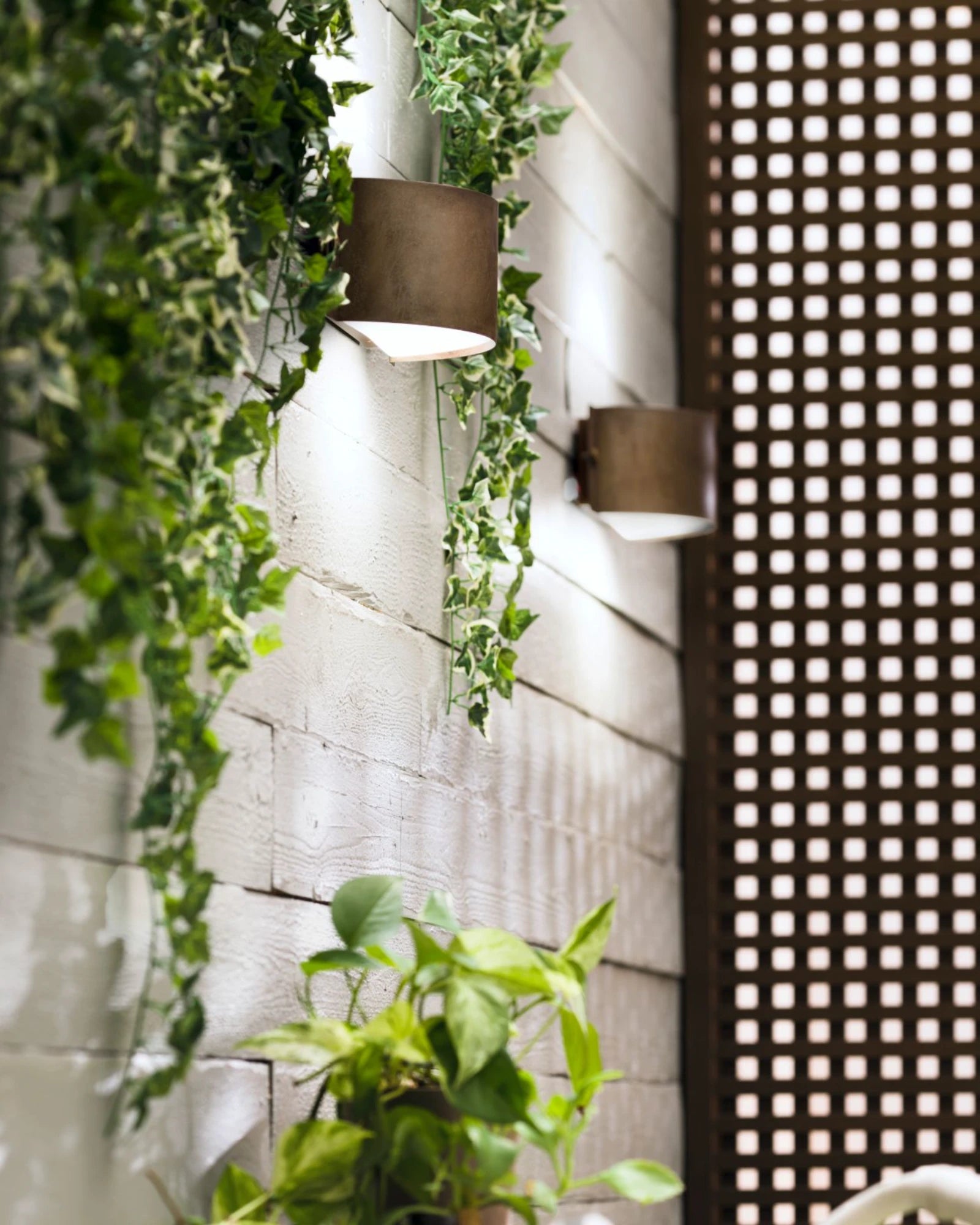 Decori Curve Wall Light