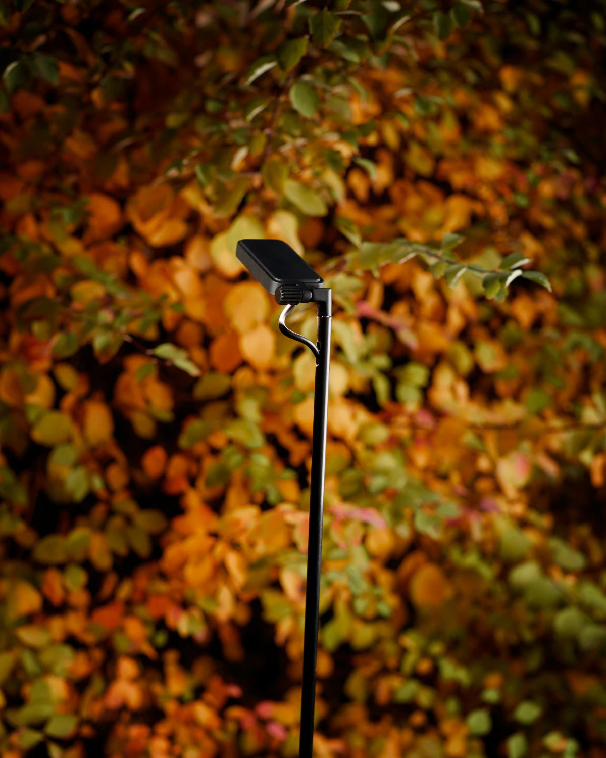 Flia Outdoor Floor Lamp