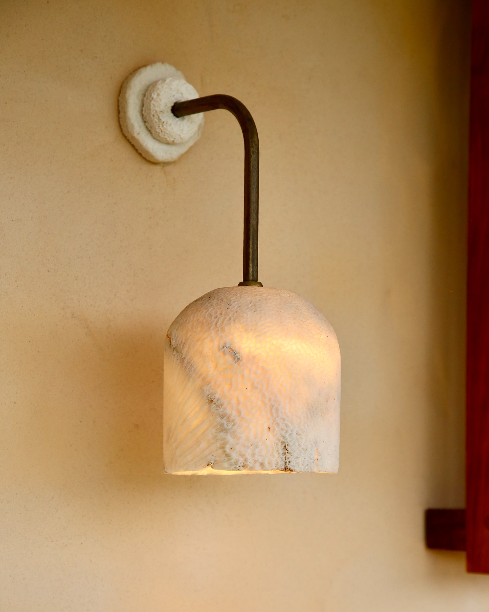 Fossil Coral Arc Dome Wall Light