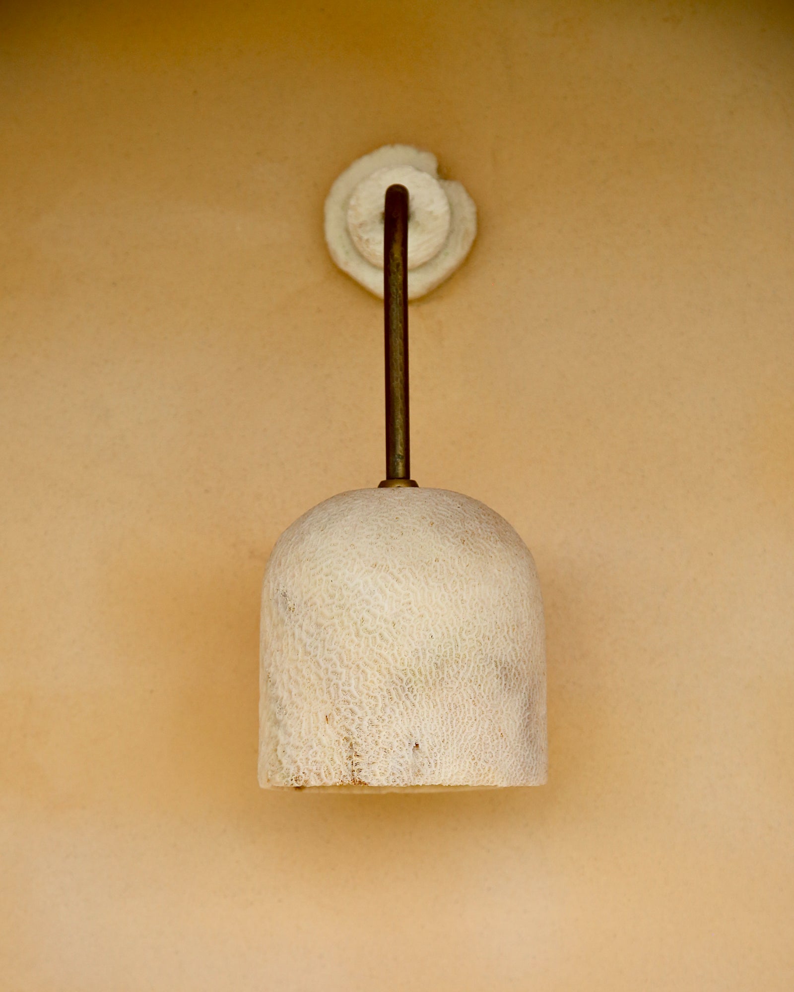 Fossil Coral Arc Dome Wall Light