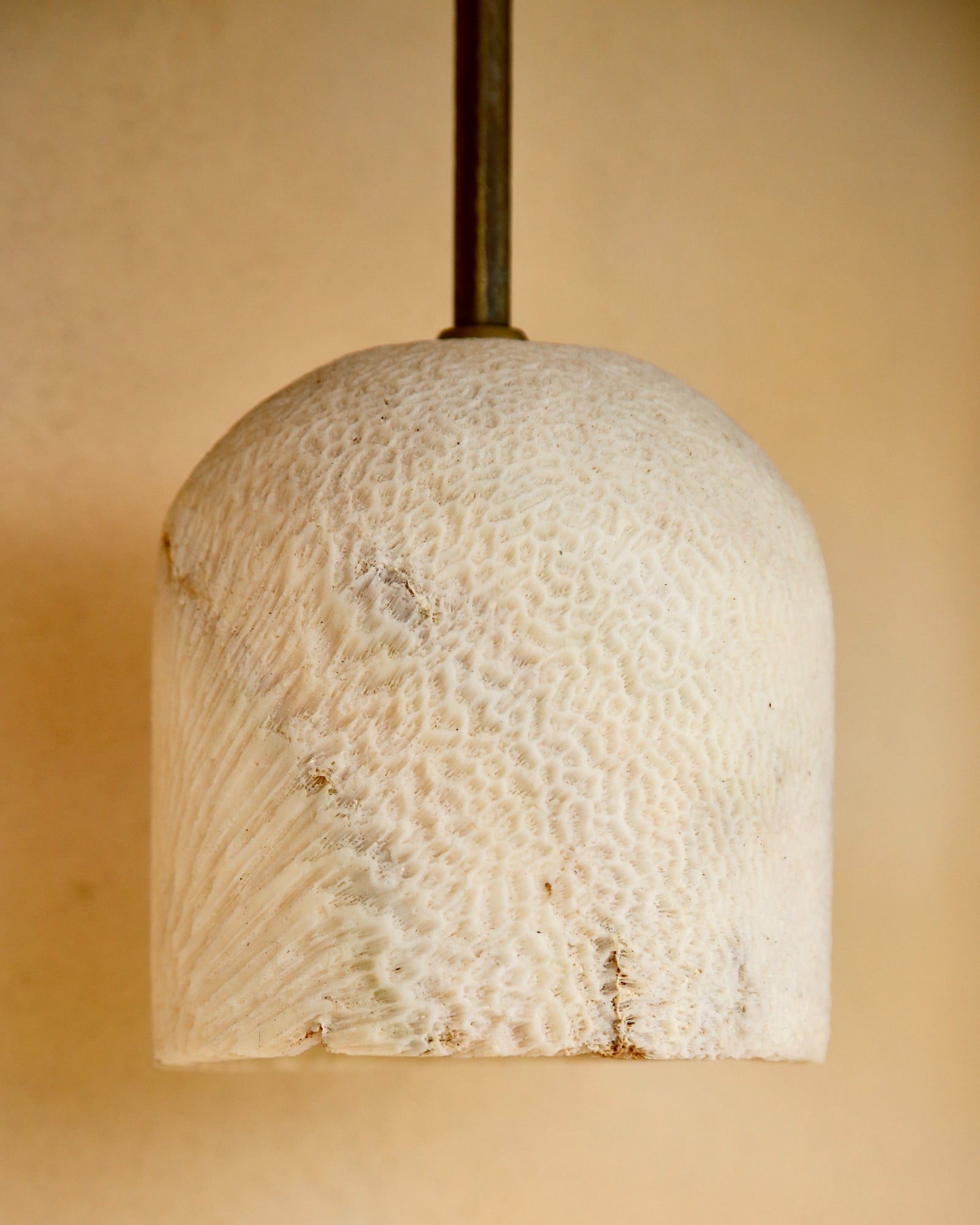 Fossil Coral Arc Dome Wall Light