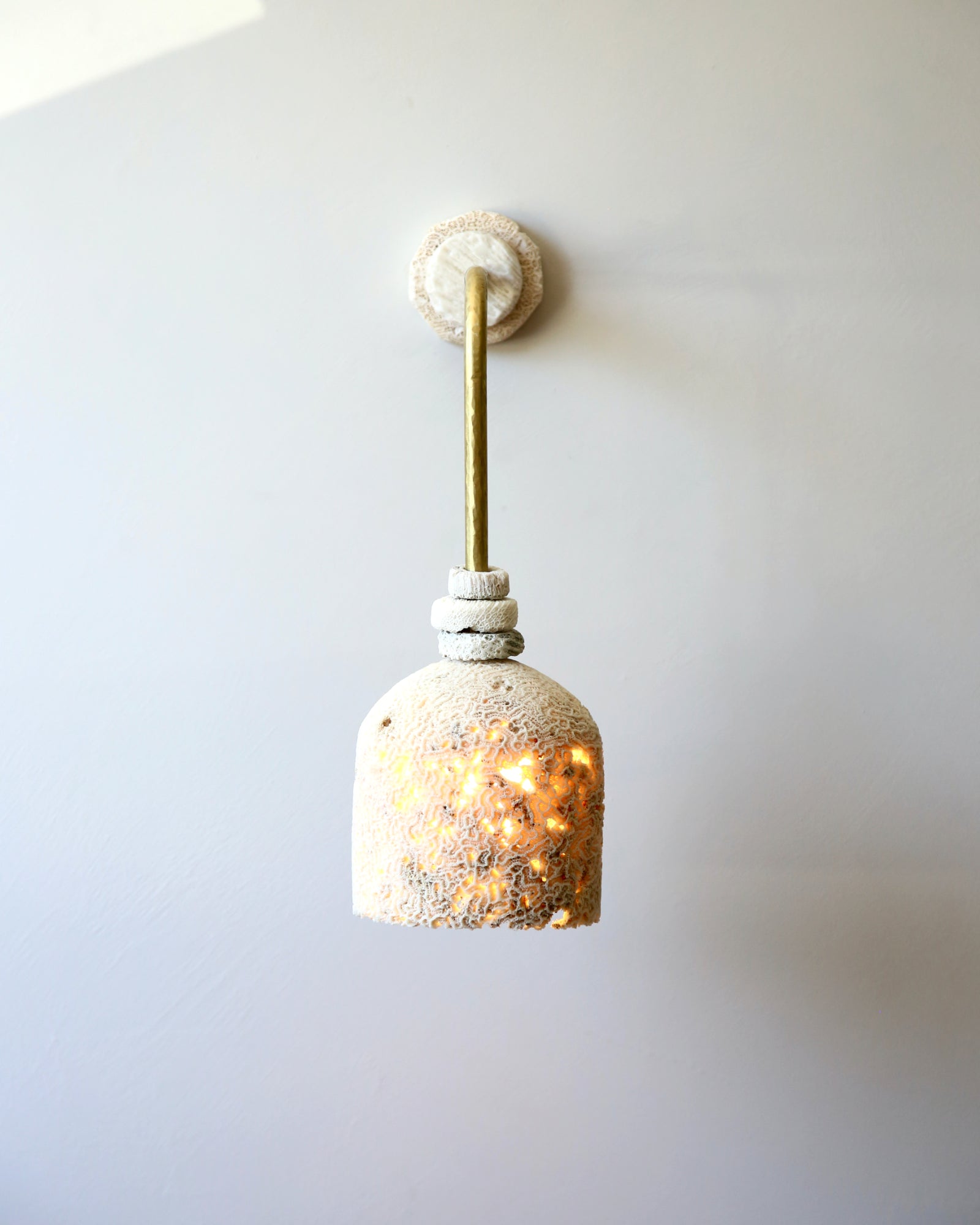 Fossil Coral Arc Dome Wall Light