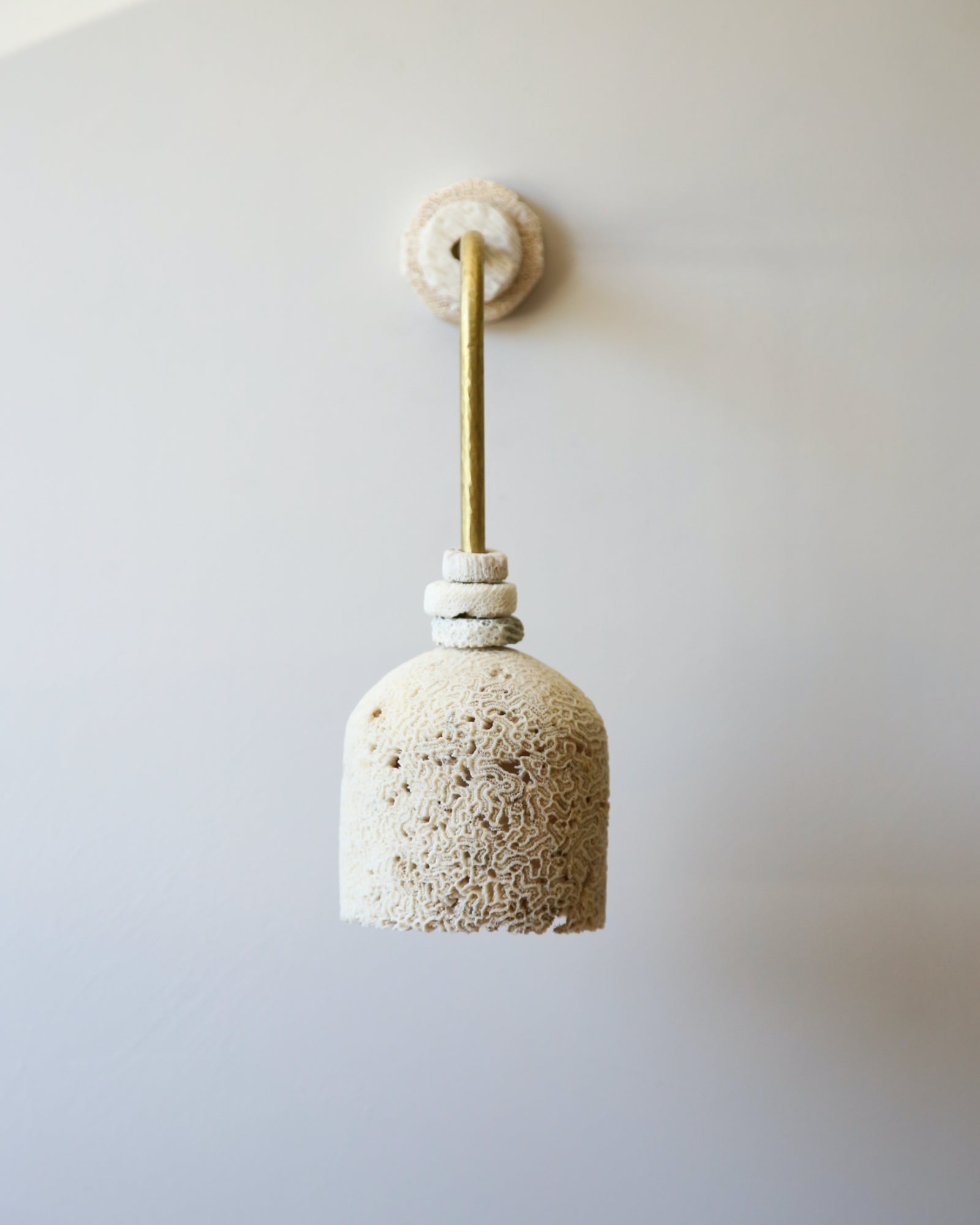 Fossil Coral Arc Dome Wall Light