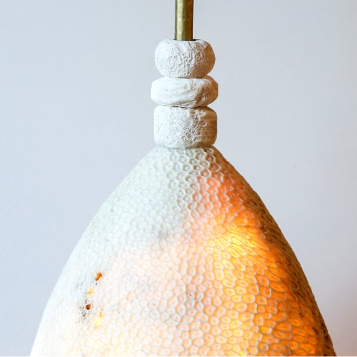 Fossil Coral Arc Cone Wall Light