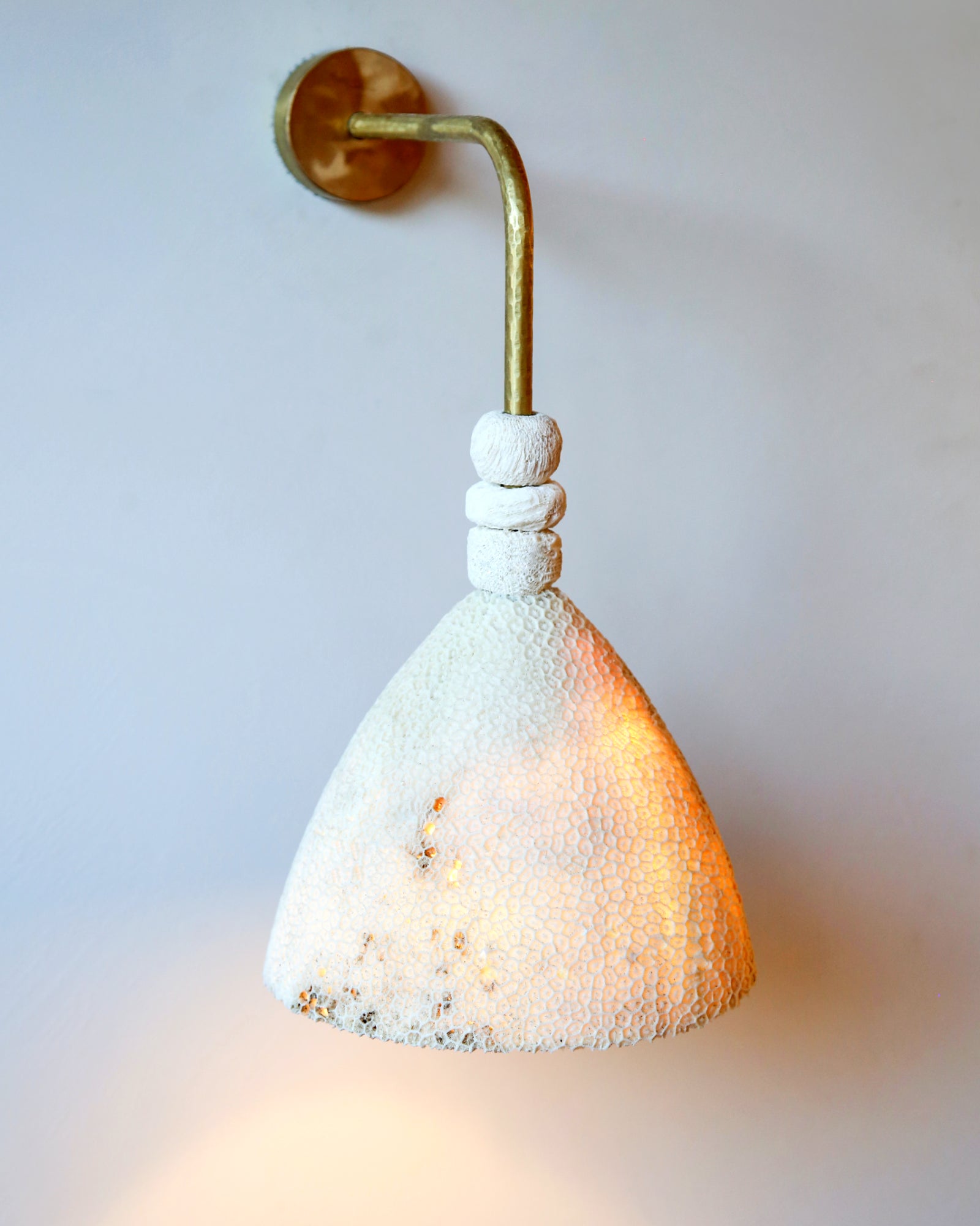 Fossil Coral Arc Cone Wall Light