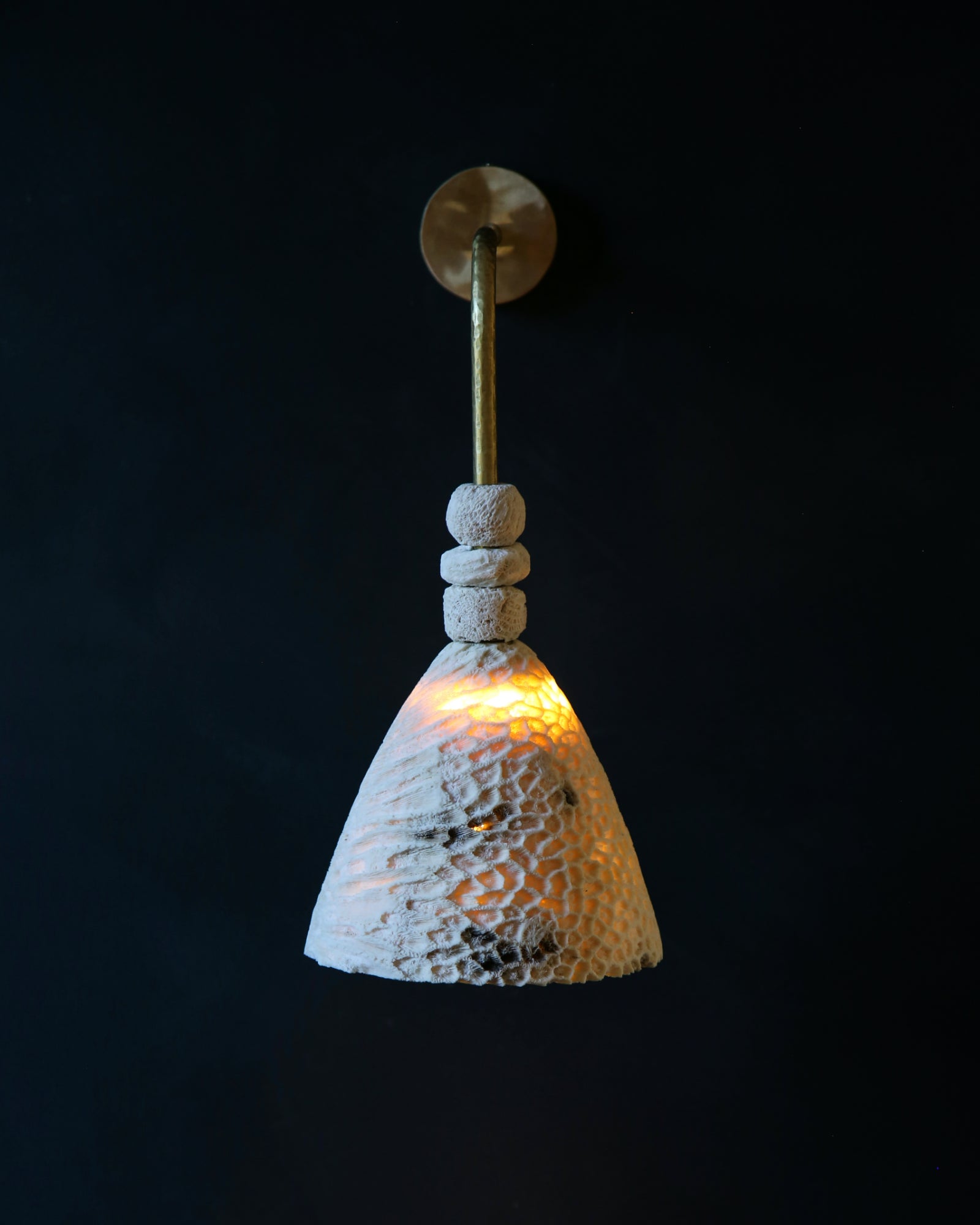 Fossil Coral Arc Cone Wall Light