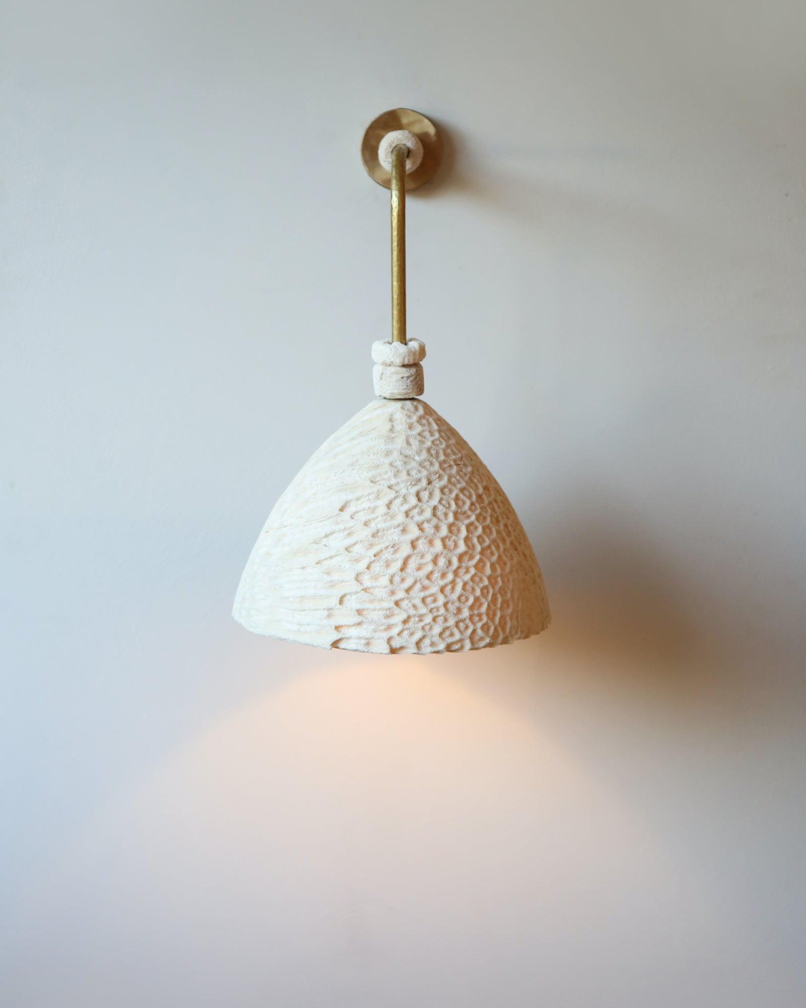 Fossil Coral Arc Cone Wall Light