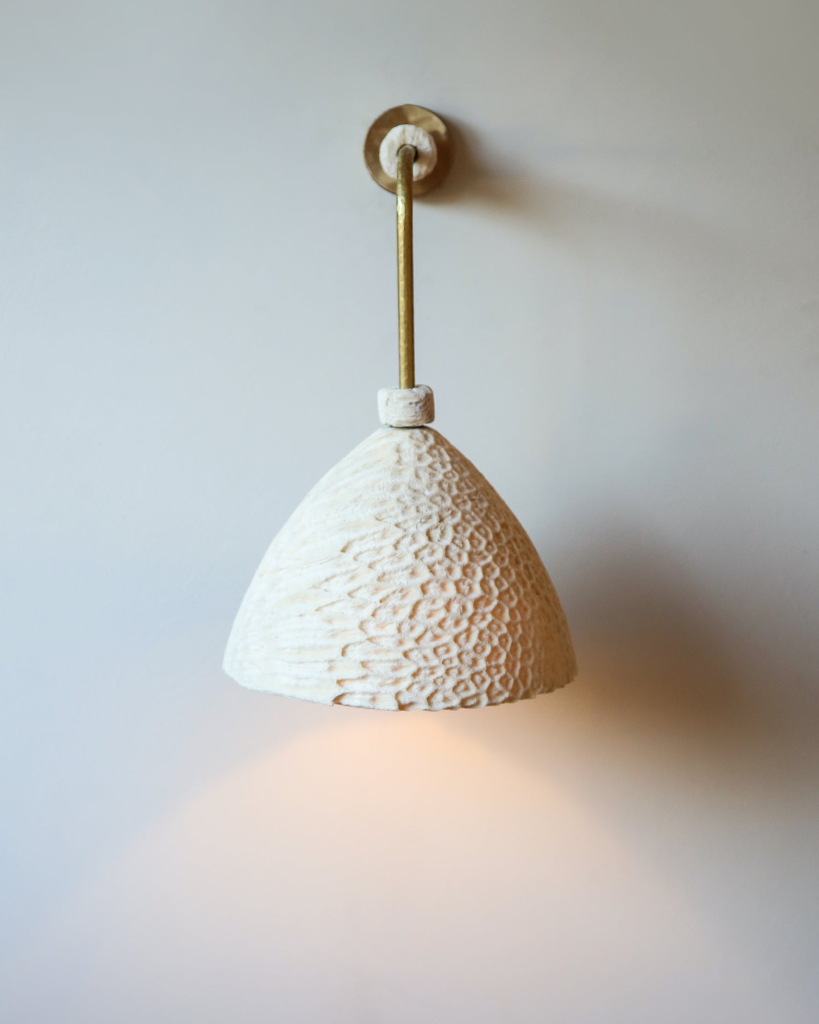 Fossil Coral Arc Cone Wall Light