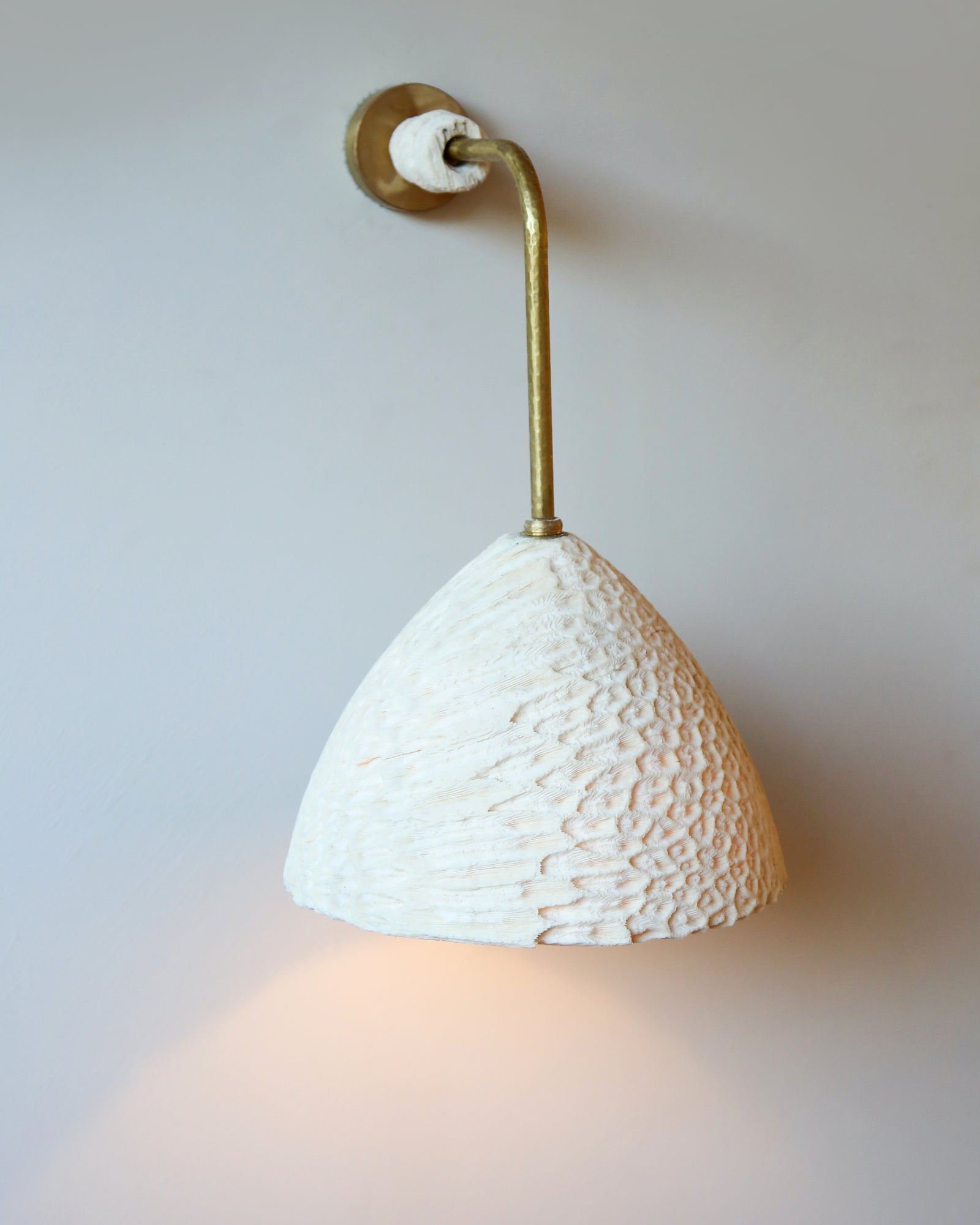 Fossil Coral Arc Cone Wall Light