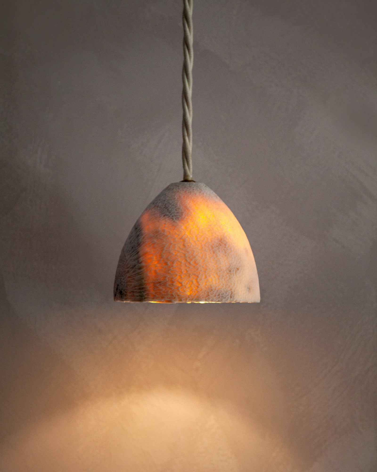 Fossil Coral Cone Pendant Light