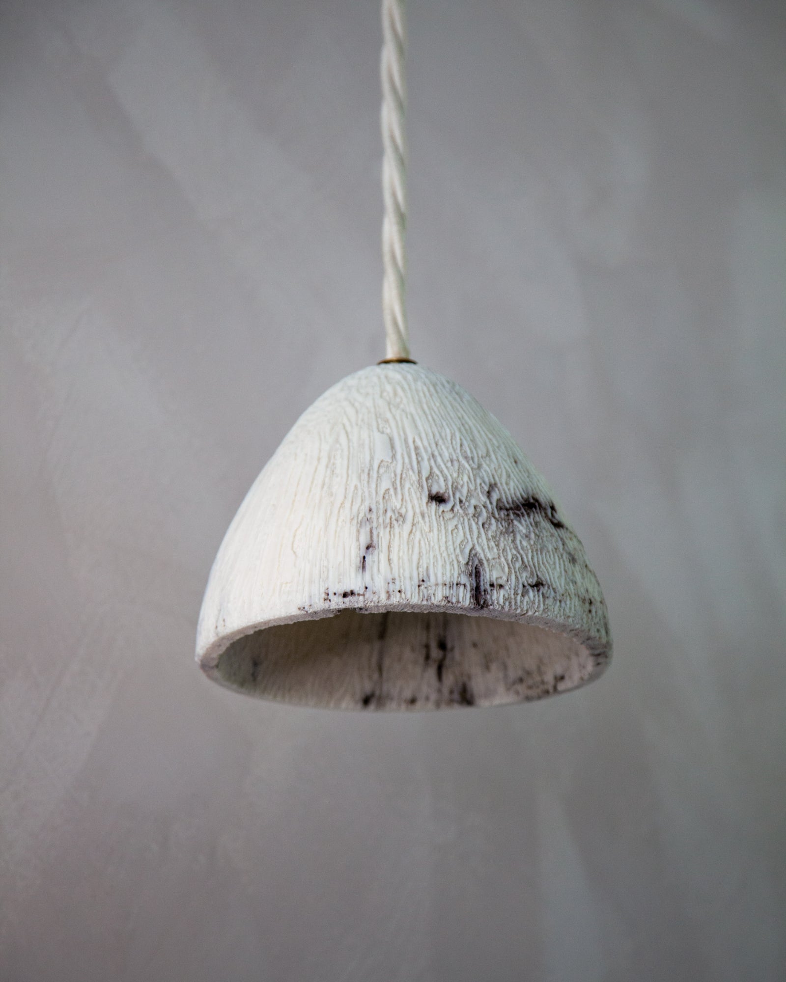 Fossil Coral Cone Pendant Light