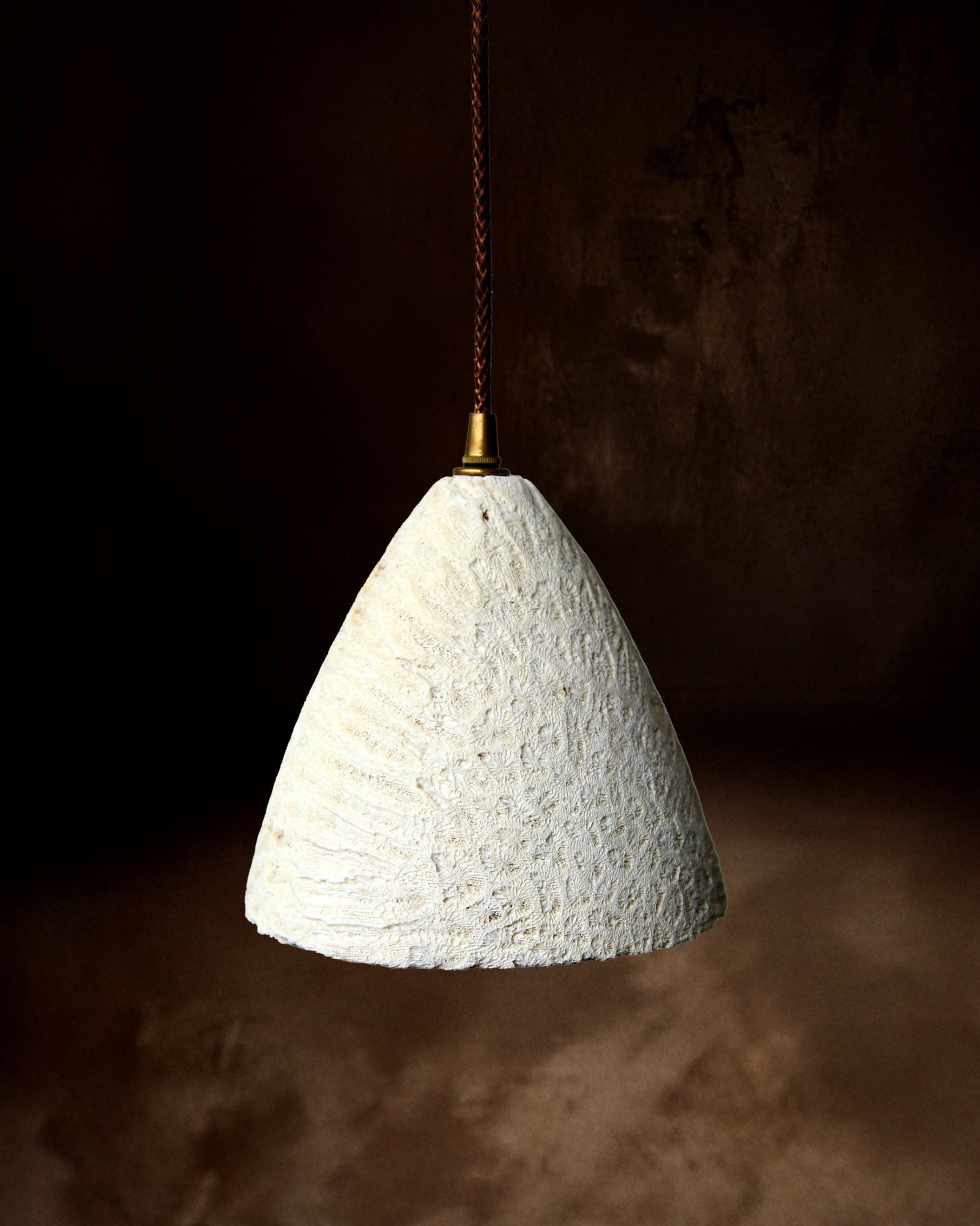 Fossil Coral Cone Pendant Light