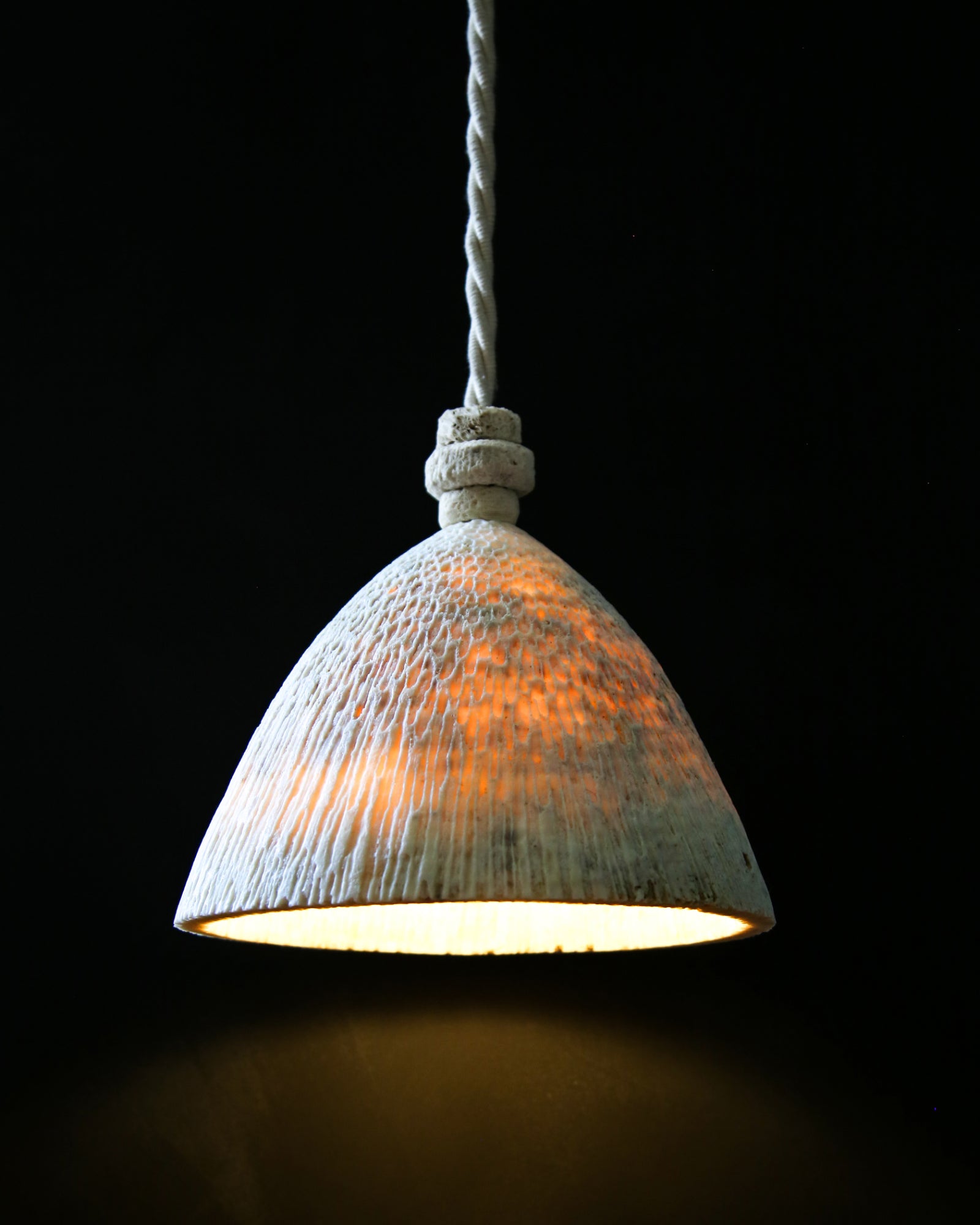 Fossil Coral Cone Pendant Light