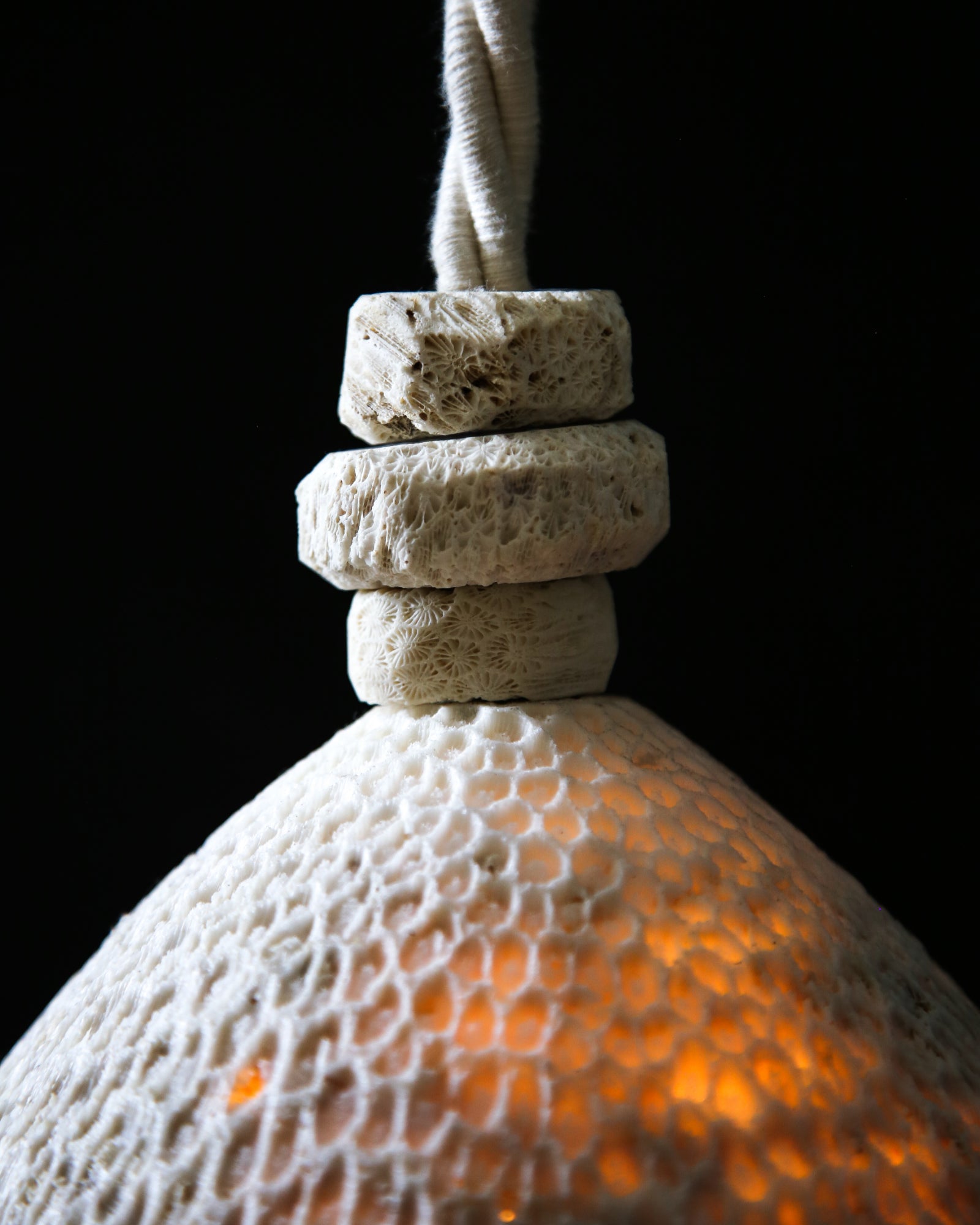 Fossil Coral Cone Pendant Light