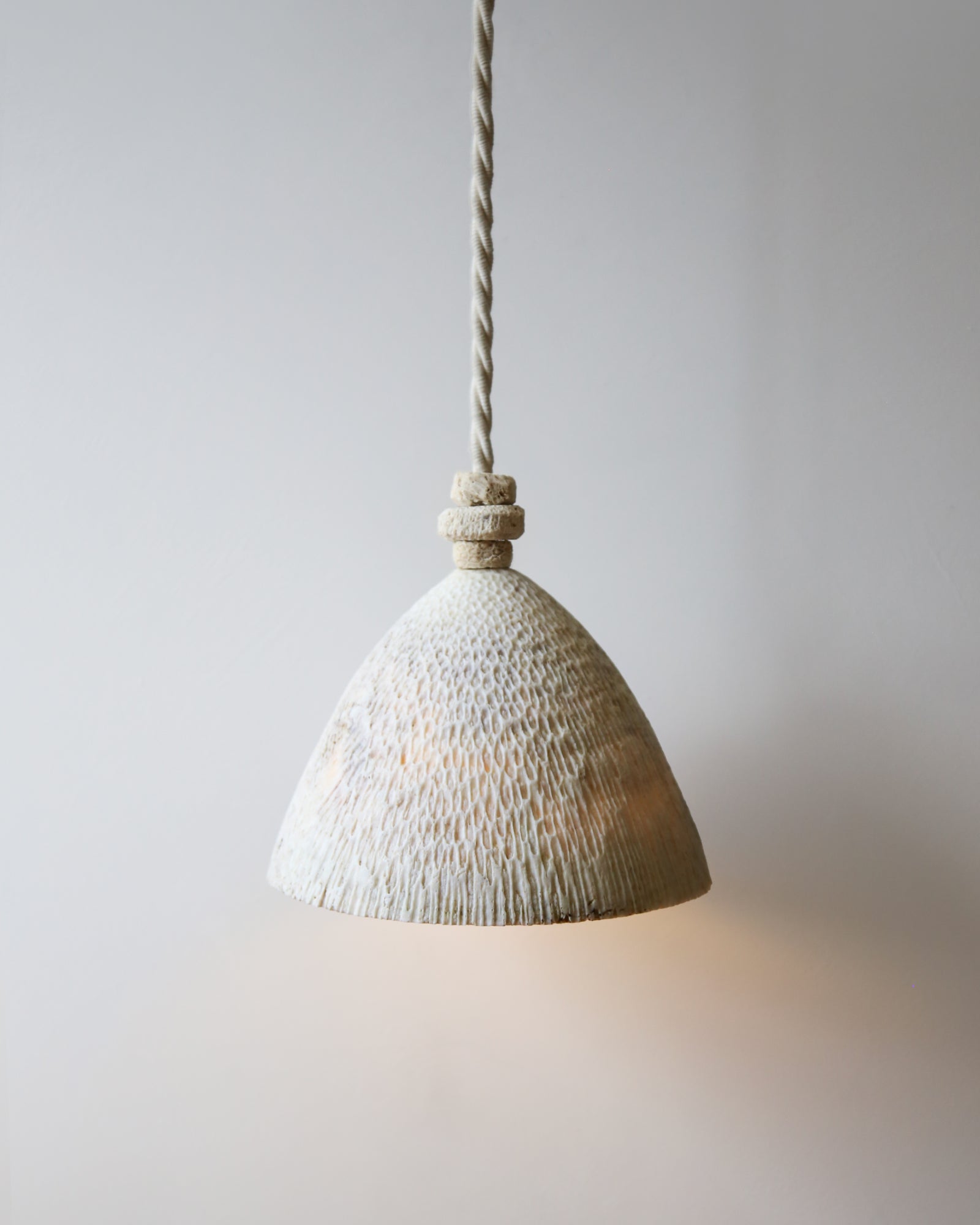 Fossil Coral Cone Pendant Light